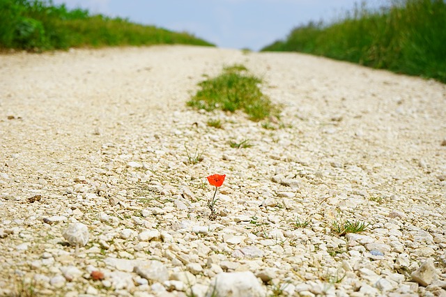 Termination of a Public Right of Way by Abandonment Via Non-Use