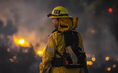 California Wildfire Insurance Claims: 15 Essential Tips for Homeowners and Business Owners